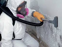 Best Mold Removal for HVAC Installations  in Nissequogue, NY